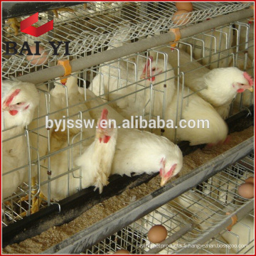 Cage / Uganda Poultry Farm Cage automatique de couche de poulet